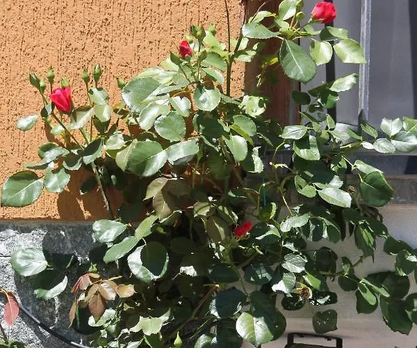 Nocleg ze śniadaniem Beb Da Gaia E Giulio 3*