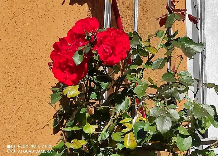 فندق مبيت وإفطار Beb Da Gaia E Giulio